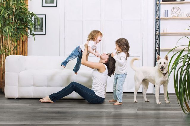 MSI Surfaces LVP – Gray-Dark Katella Ash by MSI Surfaces, gray-dark luxury vinyl tile flooring, detail view