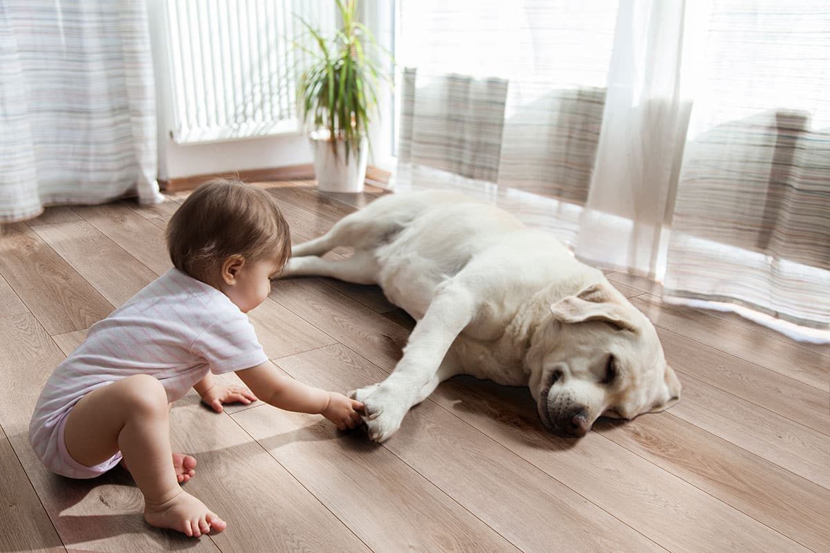 MSI Surfaces Luxury Vinyl Planks – Light Gray by MSI Surfaces, gray-light luxury vinyl tile flooring, detail view