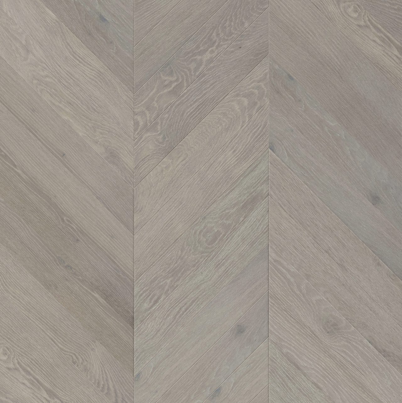 Terra Legno Engineered Simple – Ash Gray 6 1/2″ by Terra Legno, engineered wood flooring, plank sample