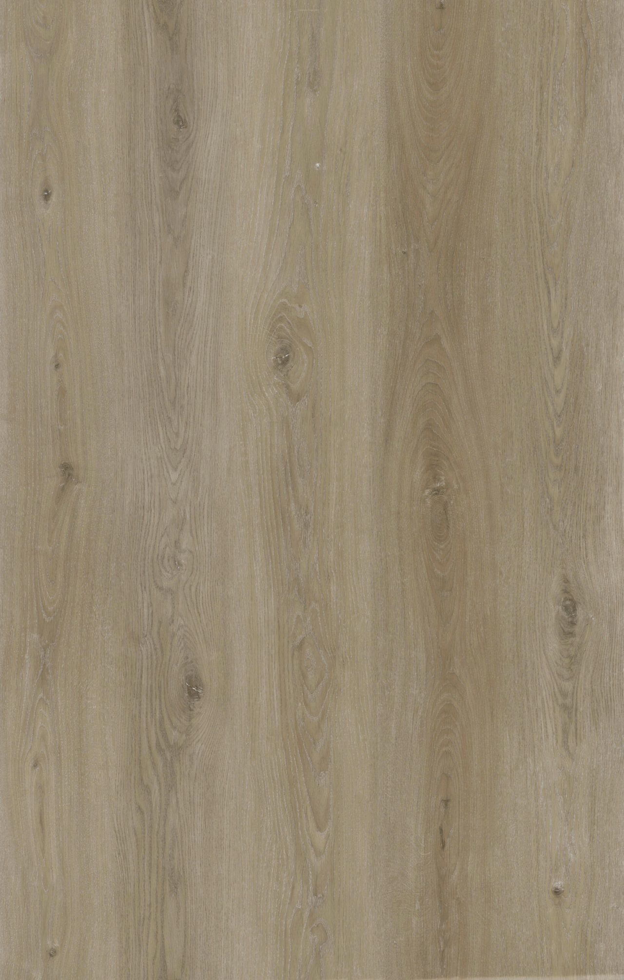 Terra Legno SPC LVT – Gray Taupe by Terra Legno, luxury vinyl tile flooring, detail view